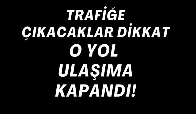 O YOL ULAŞIMA KAPANDI!