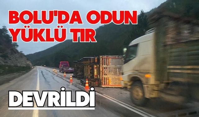 Bolu'da odun yüklü tır devrildi