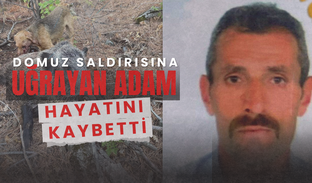 Domuzun saldırısına uğrayan avcı öldü