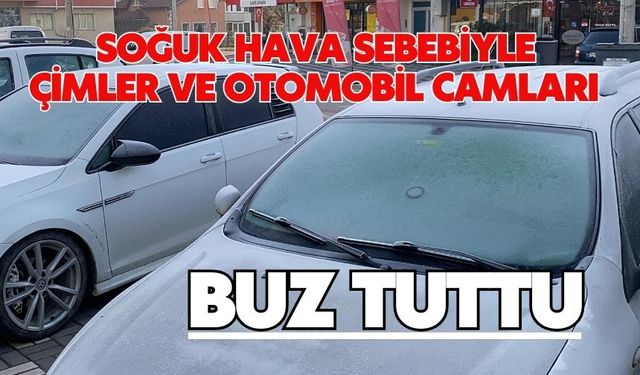 Soğuk hava sebebiyle çimler ve otomobil camları buz tuttu