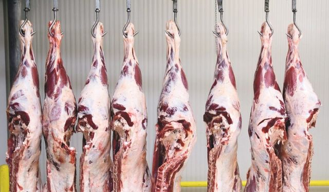 BOLU AÇIK CEZA İNFAZ KURUMU MÜDÜRLÜĞÜ