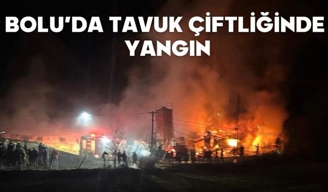 Bolu'da tavuk çiftliğinde yangın