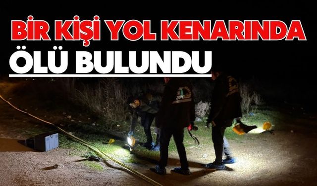 Bir kişi yol kenarında ölü bulundu