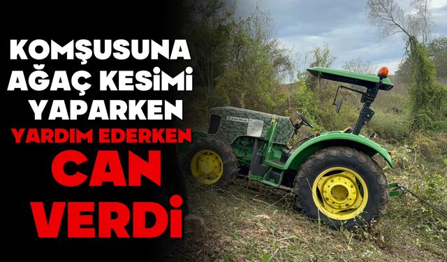 Komşusuna ağaç kesiminde yardım ederken hayatını kaybetti