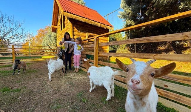 Dünyada ilk kez kullanılan yöntem, özel çocukların gelişiminde inanılmaz katkılar sağladı