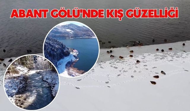 Abant Gölü'nde kış güzelliği