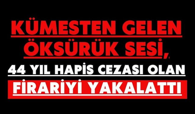 Kümesten gelen öksürük sesi, 44 yıl hapis cezası olan firariyi yakalattı