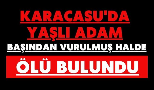 Karacasu'da yaşlı adam başından vurulmuş halde ölü bulundu