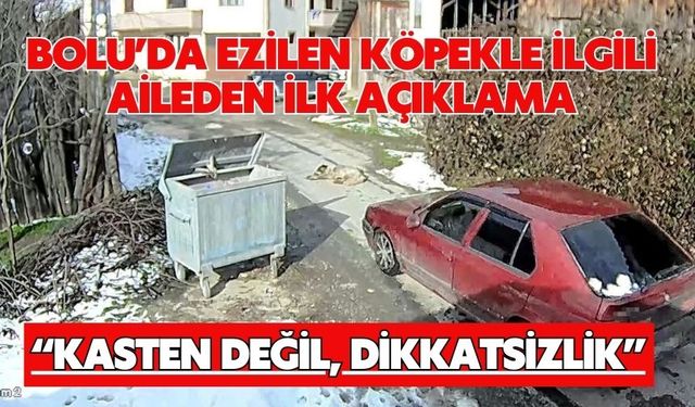 Bolu’da Ezilen Köpekle İlgili Aileden İlk Açıklama “KASTEN DEĞİL, DİKKATSİZLİK”