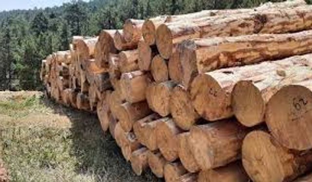 ORMAN İŞLETME MÜDÜRLÜĞÜ-ALADAĞ DİĞER ÖZEL BÜTÇELİ KURULUŞLAR ORMAN GENEL MÜDÜRLÜĞÜ