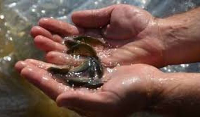 BOLU İL TARIM VE ORMAN MÜDÜRLÜĞÜ