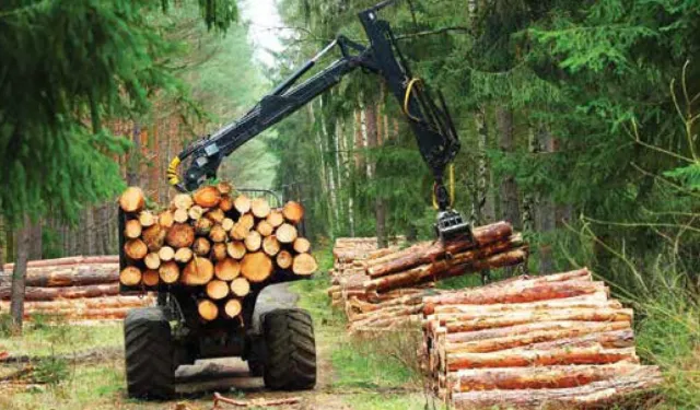 ORMAN İŞLETME MÜDÜRLÜĞÜ-DÖRTDİVAN DİĞER ÖZEL BÜTÇELİ KURULUŞLAR ORMAN GENEL MÜDÜRLÜĞÜ