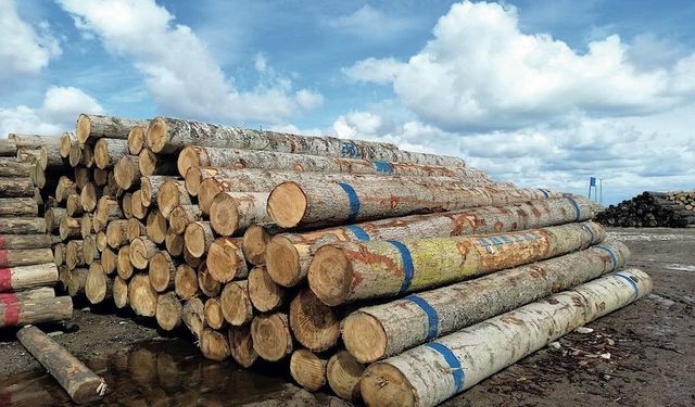 ORMAN İŞLETME MÜDÜRLÜĞÜ-ALADAĞ DİĞER ÖZEL BÜTÇELİ KURULUŞLAR ORMAN GENEL MÜDÜRLÜĞÜ