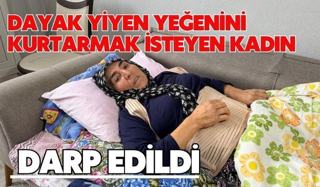 Dayak yiyen yeğenini kurtarmak isteyen kadın darp edildi
