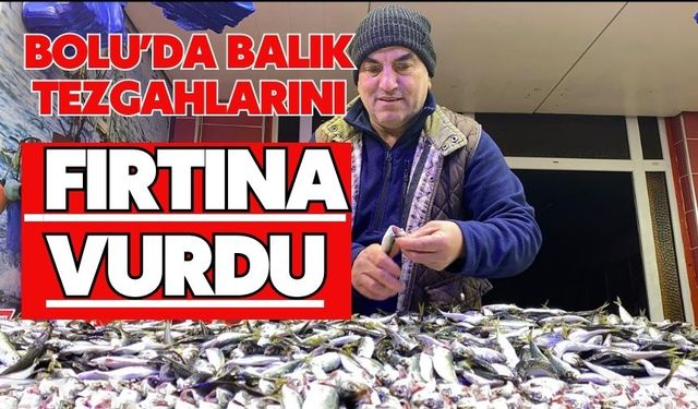 Bolu’da balık tezgahlarını fırtına vurdu