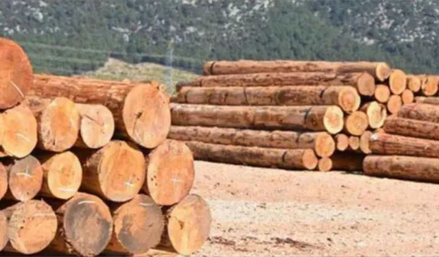 MENGEN ORMAN İŞLETME MÜDÜRLÜĞÜ MENGEN DEPO ŞEFLİĞİ KİREMİTLİK ORMAN EMVAL DEPOSUNDA İSTİF İŞİ HİZMET ALIMI