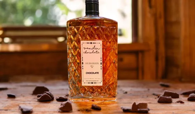 BOLUYU SEVİYORUM PERSONEL ANONİM ŞİRKETİ