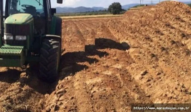 BOLU ORMAN BÖLGE MÜDÜRLÜĞÜ