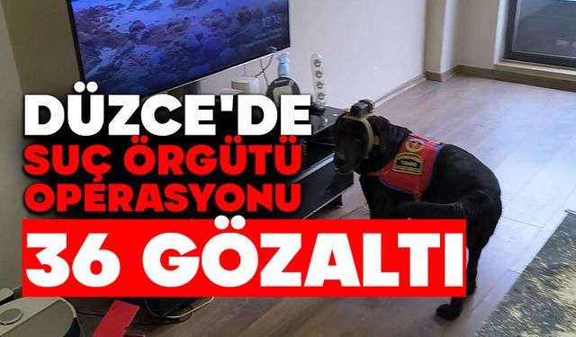 Düzce'de suç örgütü operasyonu: 36 gözaltı