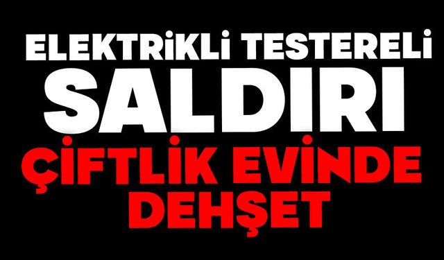 Elektrikli testereli saldırı: Çiftlik evinde dehşet