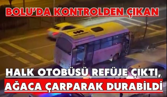 Bolu’da kontrolden çıkan halk otobüsü refüje çıktı, ağaca çarparak durabildi