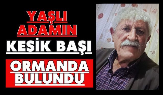 Yaşlı adamın kesik başı ormanda bulundu