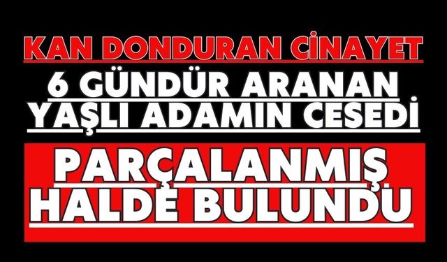 Kan donduran cinayet: 6 gündür aranan yaşlı adamın cesedi parçalanmış halde bulundu