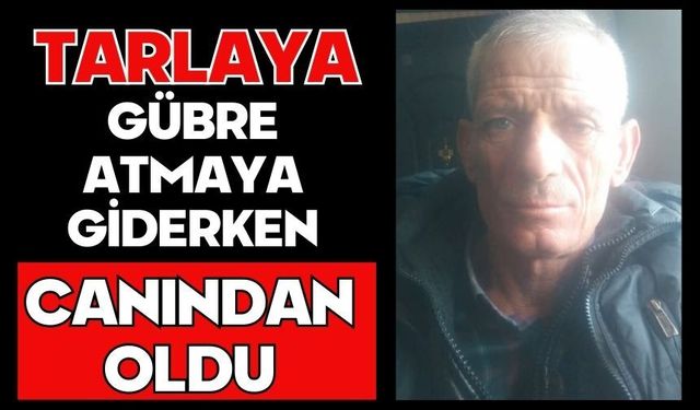 Tarlaya gübre atmaya giderken canından oldu
