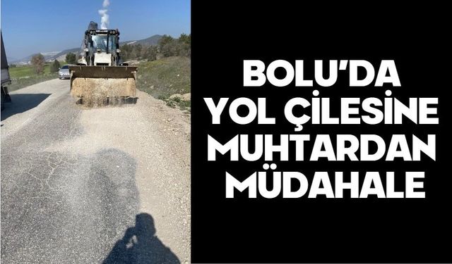 BOLU’DA YOL ÇİLESİNE MUHTARDAN MÜDAHALE