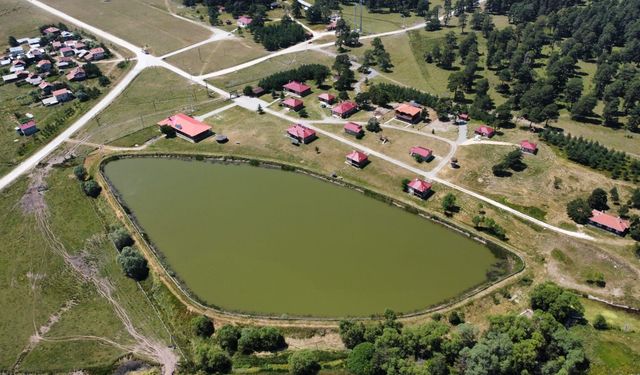 ORMAN İŞLETME MÜDÜRLÜĞÜ-ALADAĞ DİĞER ÖZEL BÜTÇELİ KURULUŞLAR ORMAN GENEL MÜDÜRLÜĞÜ