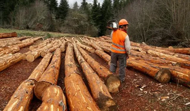 ORMAN İŞLETME MÜDÜRLÜĞÜ-MUDURNU DİĞER ÖZEL BÜTÇELİ KURULUŞLAR ORMAN GENEL MÜDÜRLÜĞÜ