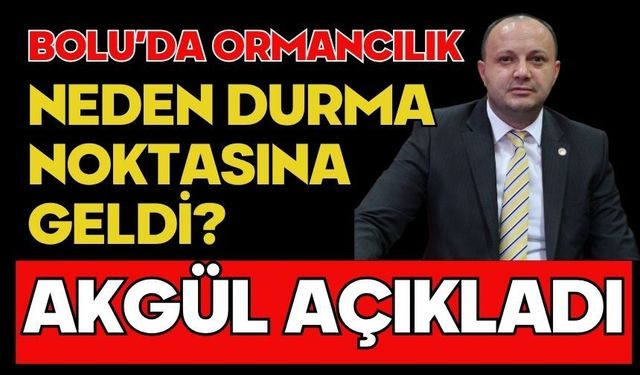 BOLU’DA ORMANCILIK NEDEN DURMA NOKTASINA GELDİ? AKGÜL AÇIKLADI