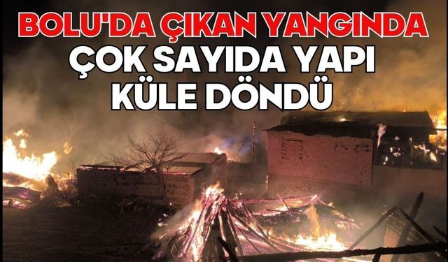 Bolu'da çıkan yangında çok sayıda yapı küle döndü