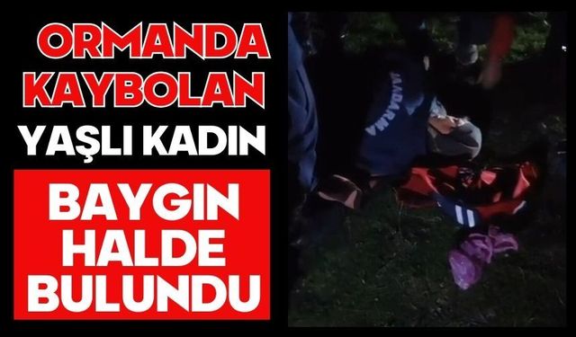 Ormanda kaybolan yaşlı kadın baygın halde bulundu