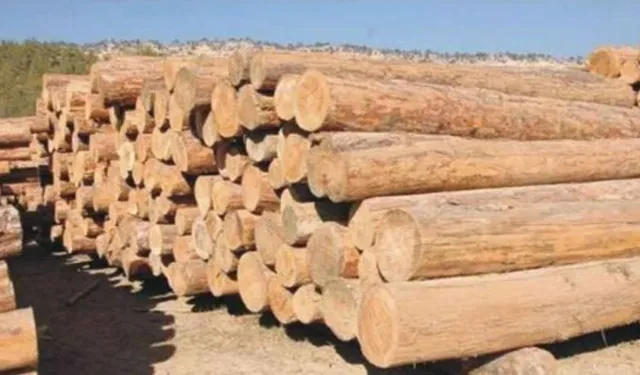 MENGEN ORMAN İŞLETME MÜDÜRLÜĞÜ