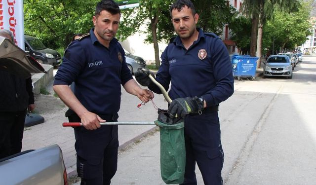 Otomobilin içine giren 1,5 metrelik yılanı itfaiye erleri yakaladı