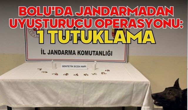 Bolu'da jandarmadan uyuşturucu operasyonu: 1 tutuklama