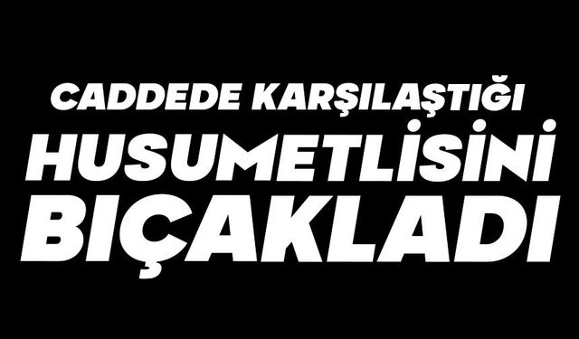 Caddede karşılaştığı husumetlisini bıçakladı