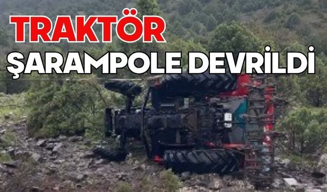 Traktör şarampole devrildi