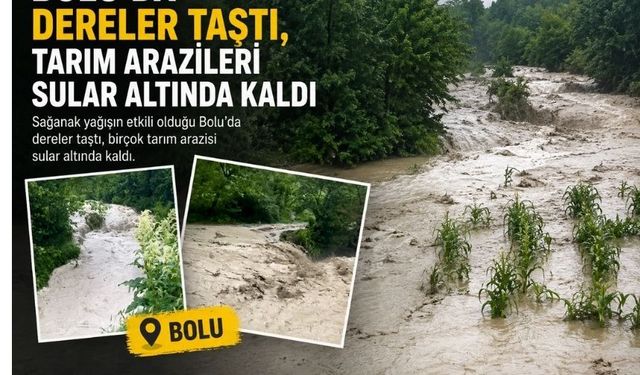 Bolu'da taşan dereler arazileri mahvetti