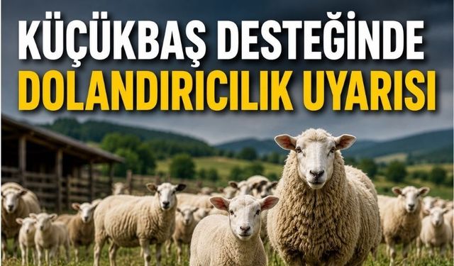 Bolu'da küçükbaş desteği bekleyenlere önemli duyuru