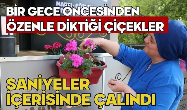 Bir gece öncesinden özenle diktiği çiçekler saniyeler içerisinde çalındı