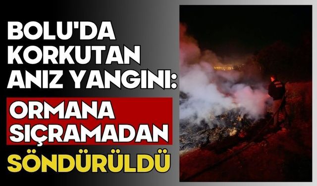 Bolu'da korkutan anız yangını: Ormana sıçramadan söndürüldü