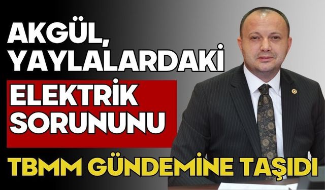 Akgül, Yaylalardaki Elektrik Sorununu TBMM Gündemine Taşıdı