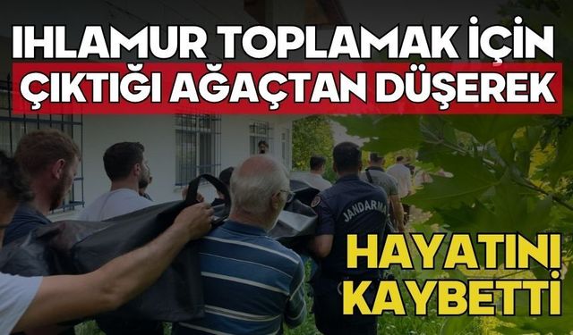Ihlamur toplamak için çıktığı ağaçtan düşerek hayatını kaybetti