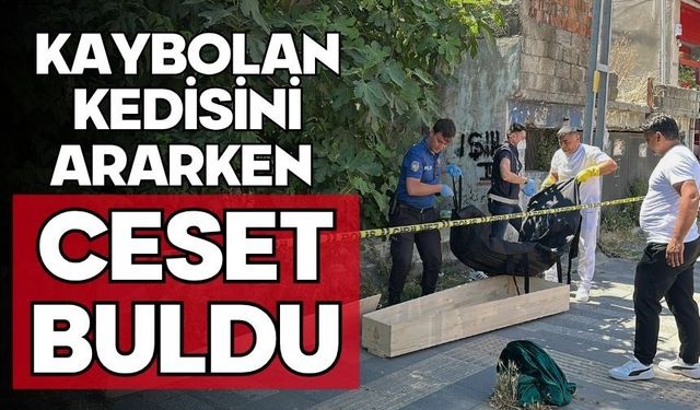 Kaybolan kedisini ararken ceset buldu