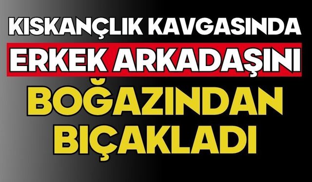Kıskançlık kavgasında erkek arkadaşını boğazından bıçakladı