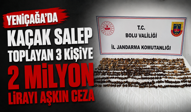 Yeniçağa’da Kaçak Salep Toplayan 3 Kişiye 2 Milyon Lirayı Aşkın Ceza