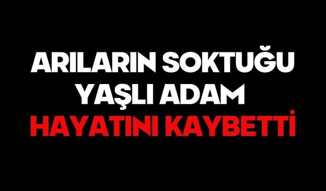 Arıların soktuğu yaşlı adam hayatını kaybetti