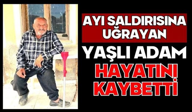 Ayı saldırısına uğrayan yaşlı adam hayatını kaybetti